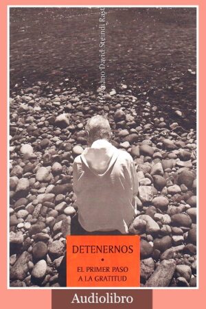 Detenernos (Audiolibro)