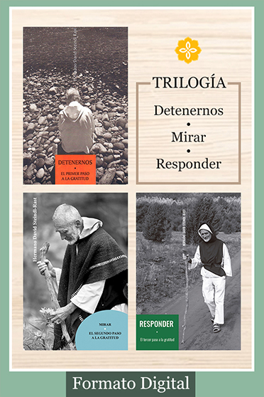 Combo: Trilogía Detenernos-Mirar-Responder (Formato Digital)